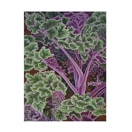 Andrea Strongwater 'Cabbage Stalks' Canvas Art,18x24